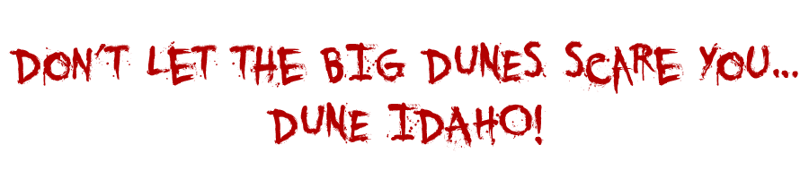 Dune Idaho